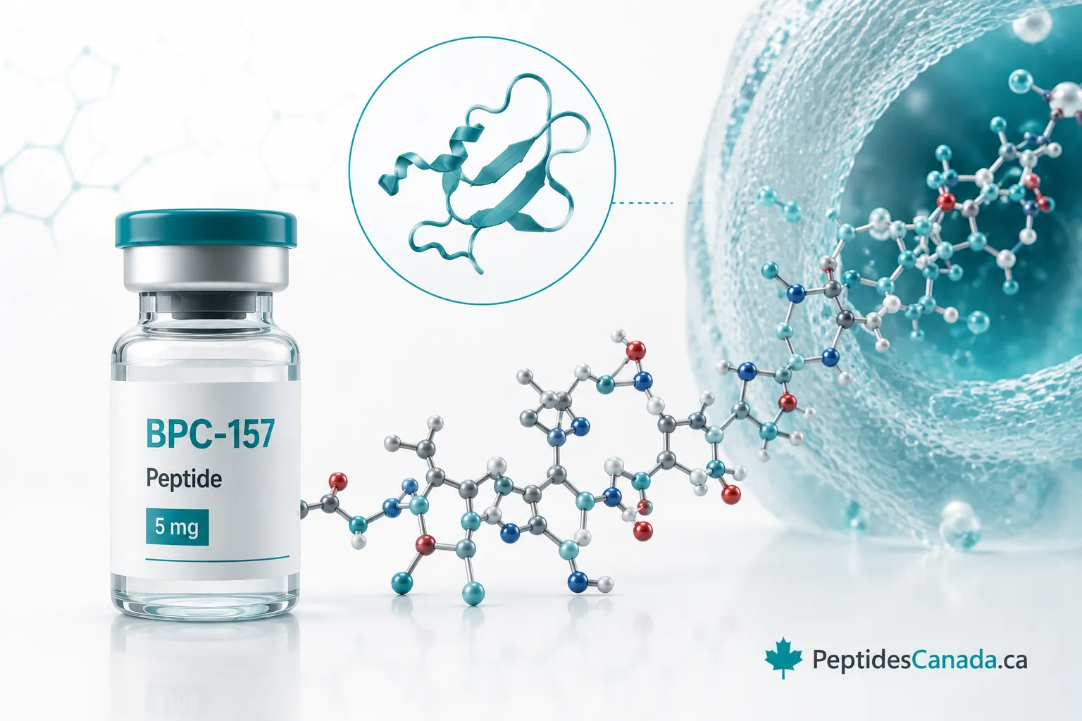 What is BPC-157 peptide