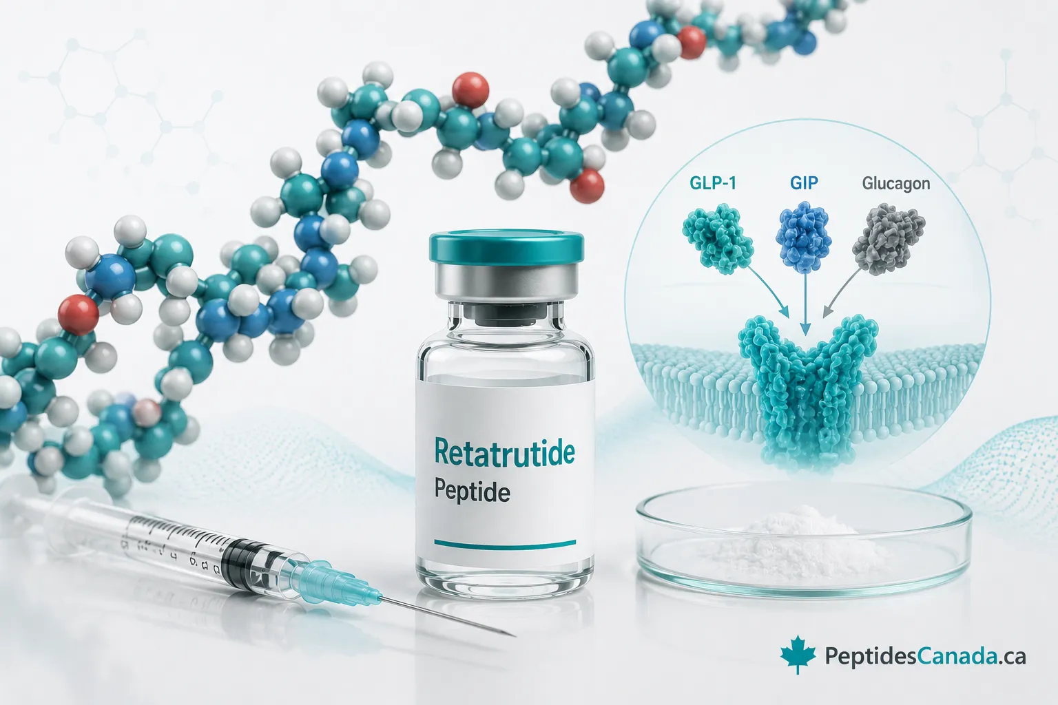What is Retatrutide
