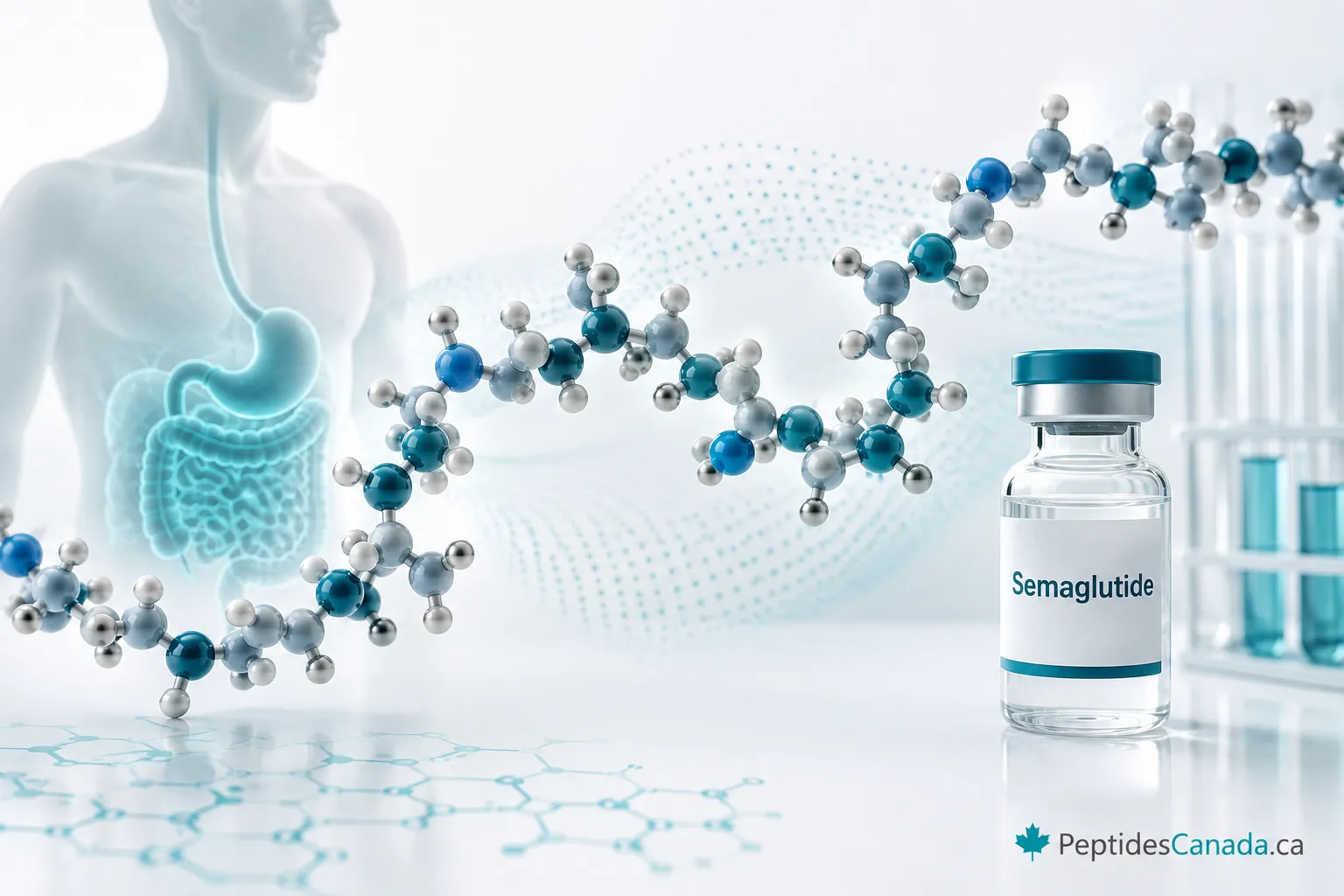 What is semaglutide