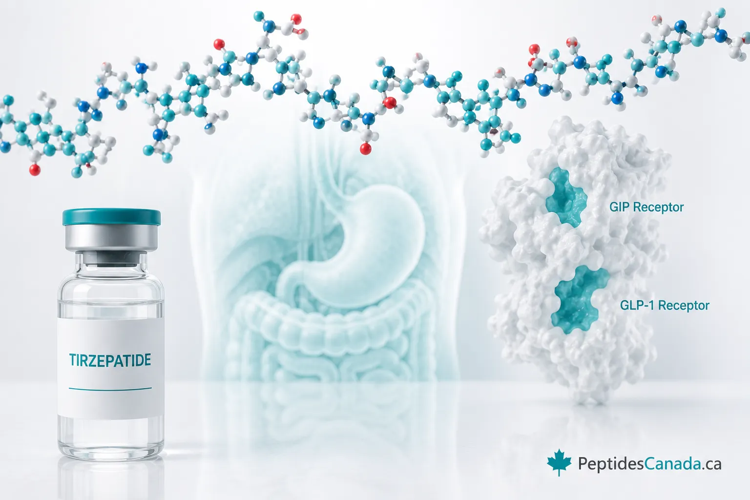 What is tirzepatide and how it works